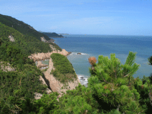 大門島