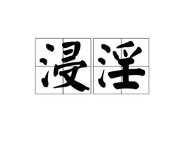 浸淫[詞語釋義]