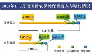 金十條