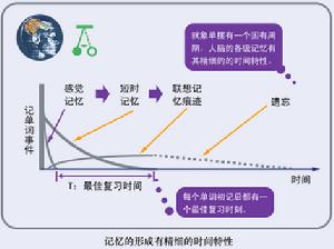 峰終定律