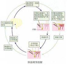 合併圖冊