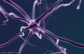 神經元細胞