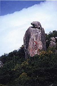 南澳黃花山森林公園