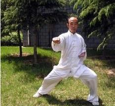 陳氏太極拳