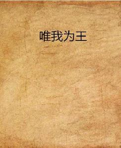 唯我為王[17K小說網連載小說]