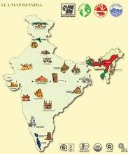 印度紅茶三大產區