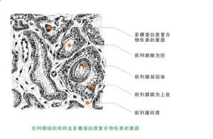 設計原理5