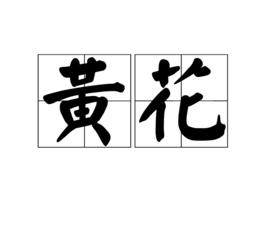 黃花[詞語釋義]