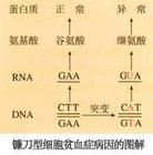 終止密碼