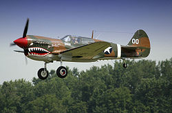 P-40戰鷹戰鬥機