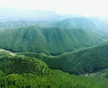 泥橋頭“十里長沖”