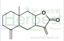 異阿蘭內酯