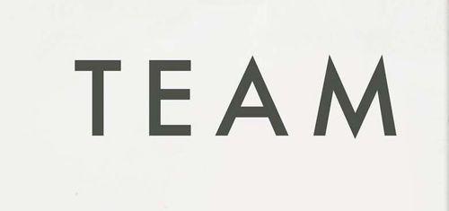 team[Lorde演唱歌曲]