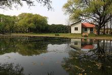 上海共青國家森林公園