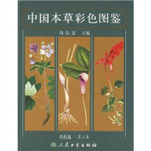 蒼條魚鱉圖冊