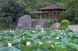 龍城公園[深圳市龍崗區龍城公園]