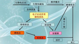 生物磁場