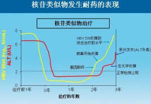 B肝病毒變異耐藥檢測