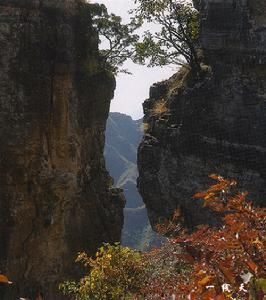 努魯爾虎山自然保護區