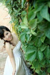 木棉花之戀 木棉花之戀