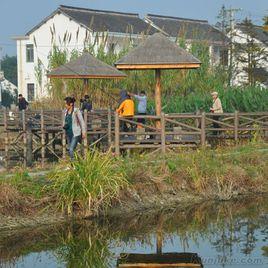 永新村[吉林市船營區大綏河鎮永新村]