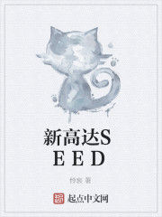 新高達SEED