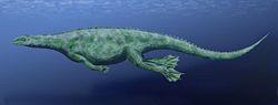 克勞迪歐蜥（屬名：Claudiosaurus）是種已滅絕的雙孔類爬行動物，生存於二疊紀晚期的馬達加斯加。 克勞迪歐蜥的標本克勞迪歐蜥是最早的新雙弓類物種之一，新雙弓類的範圍是大部分的雙孔亞綱，不包含原始的纖肢龍目。克勞迪歐蜥的身長約60厘米，有相當長的身體與頸部。克勞迪歐蜥被推斷是部分海生動物，方活方式類似現代的海鬣蜥。這個理論的主要原因是克勞迪歐蜥身體有大量軟骨，並缺乏堅硬的骨頭，如果它們生存在陸地上，會在支撐重量上產生問題。它們的胸骨發展不良好，也妨礙它們生存於陸地上。它們可能將四肢緊靠身體，擺動身體與尾巴，以在水中推動前進。克勞迪歐蜥化石時期： 二疊紀晚期 克勞迪歐蜥 保護狀況 化石 科學分類 界： 動物界 Animalia 門： 脊索動物門 Chordata 綱： 蜥形綱 Sauropsida 亞綱： 雙孔亞綱 Diapsida (未分級) 新雙弓類 Neodiapsida 屬： 克勞迪歐蜥屬 Claudiosaurus