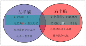 左右腦分工理論