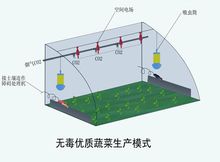 含有土壤電處理技術的環境安全型溫室