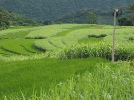 汗田自然村