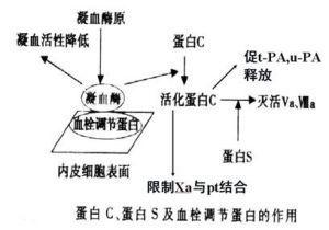 血漿纖溶酶原