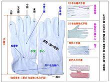 禮儀手套結構圖