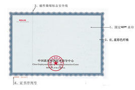 中國就業培訓技術指導中心