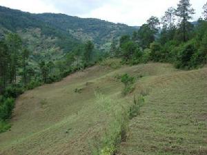 大三界村山地