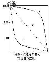 存活曲線