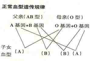 血型遺傳規律表