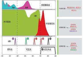 氮平衡指數