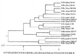（圖）甲1(H1N1)亞型流感病毒HA1基因序列進化樹