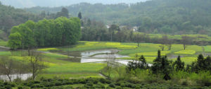 羊棧嶺古道