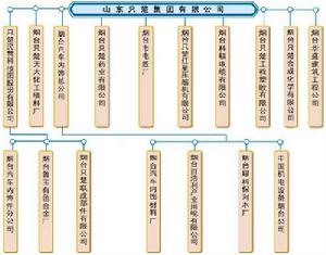 山東只楚集團有限公司