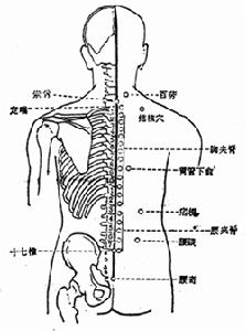 夾脊