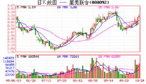 星美聯合股份有限公司 