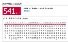 武漢公交541路