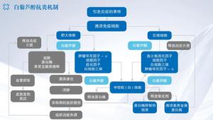 白藜蘆醇抗炎機制