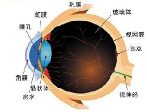 半乳糖性白內障