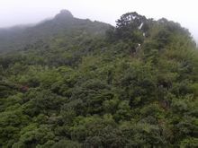 浠水三角山旅遊風景區