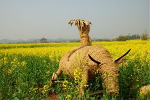 陳摶故里