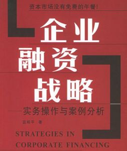 企業融資戰略