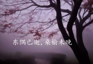 東隅已逝，桑榆未晚