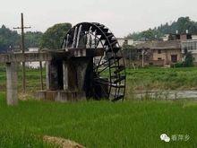 橋頭村著名風車